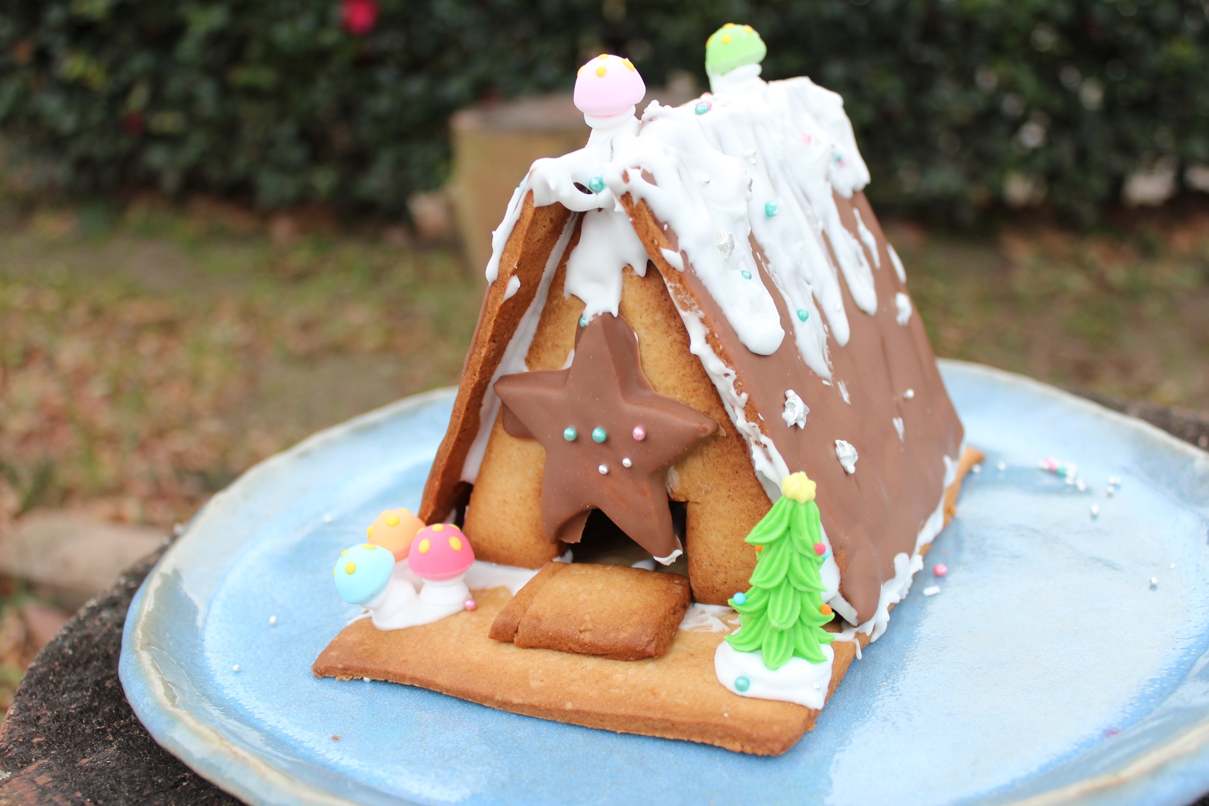 スパイス アロマ香る クリスマスの彩に 夢広がるお菓子の家 ヘクセンハウス の作り方 人生は遊園地